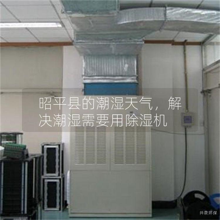 昭平县的潮湿天气，解决潮湿需要用除湿机
