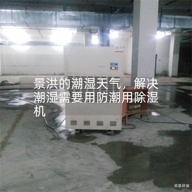 景洪的潮湿天气，解决潮湿需要用防潮用除湿机