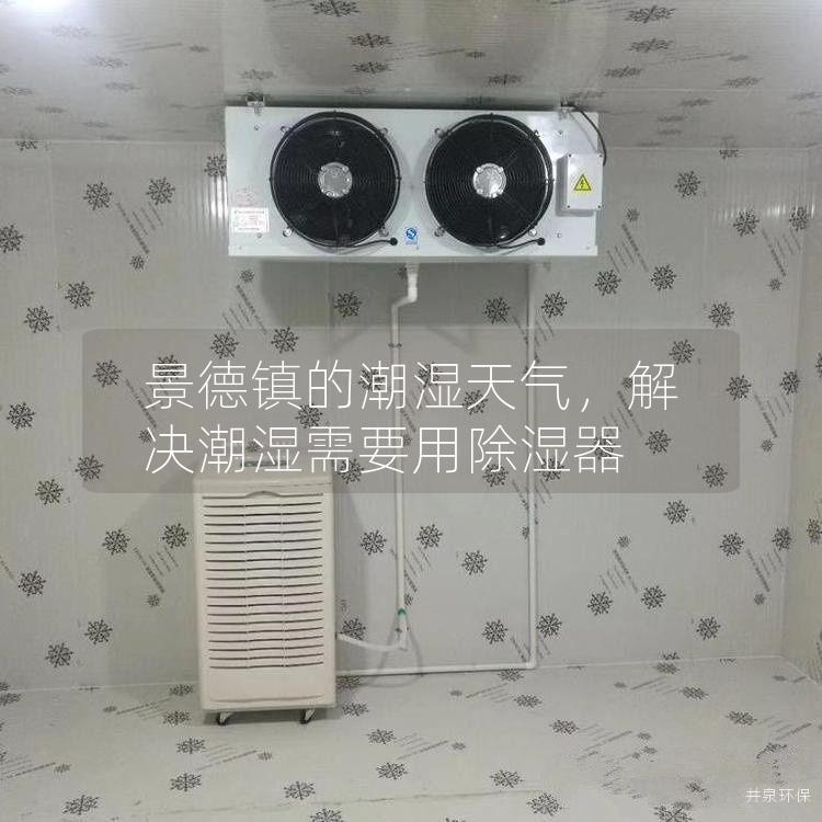 景德鎮(zhèn)的潮濕天氣，解決潮濕需要用除濕器