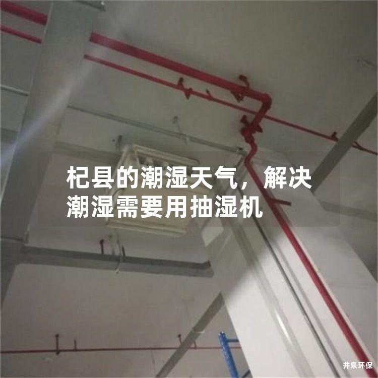 杞县的潮湿天气，解决潮湿需要用抽湿机
