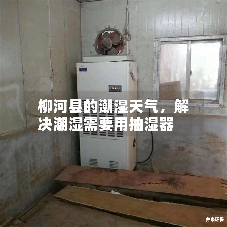柳河县的潮湿天气，解决潮湿需要用抽湿器