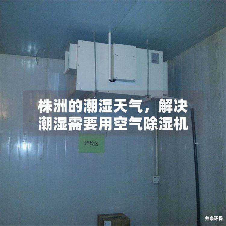 株洲的潮濕天氣，解決潮濕需要用空氣除濕機(jī)