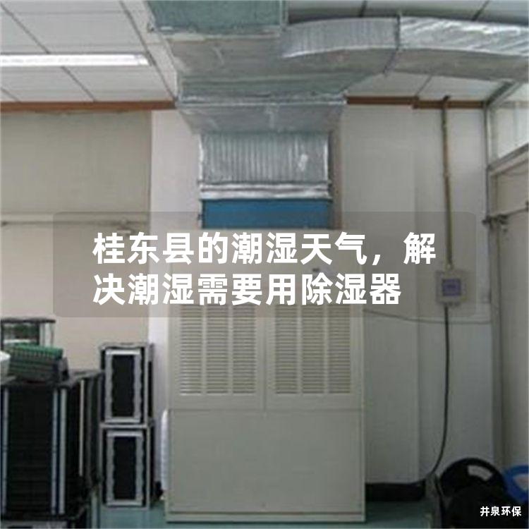 桂東縣的潮濕天氣，解決潮濕需要用除濕器