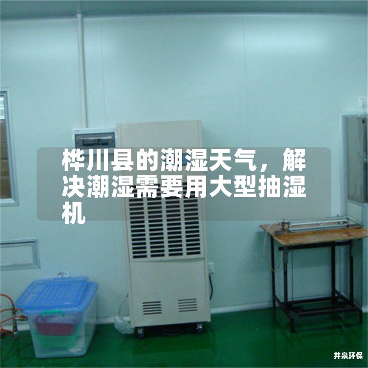桦川县的潮湿天气，解决潮湿需要用大型抽湿机