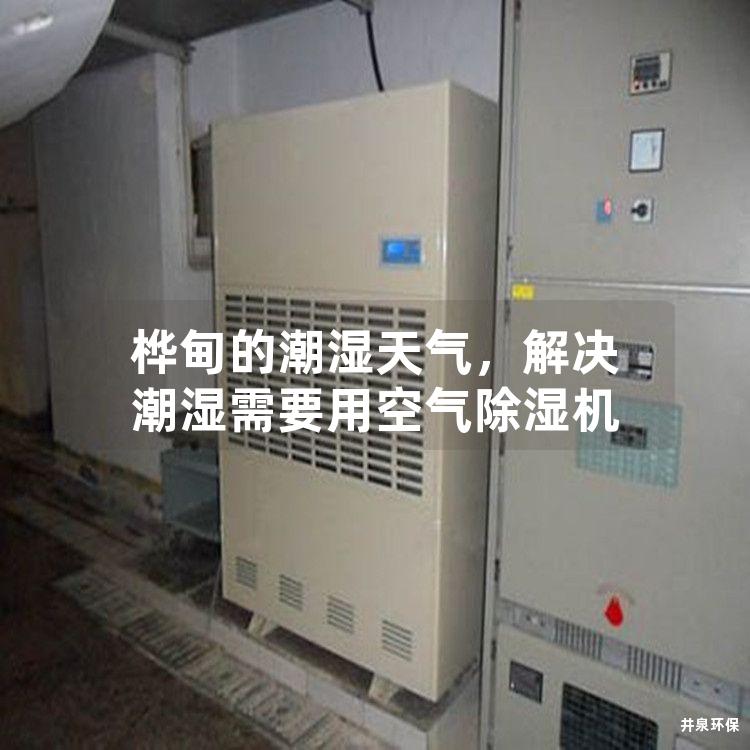 樺甸的潮濕天氣，解決潮濕需要用空氣除濕機