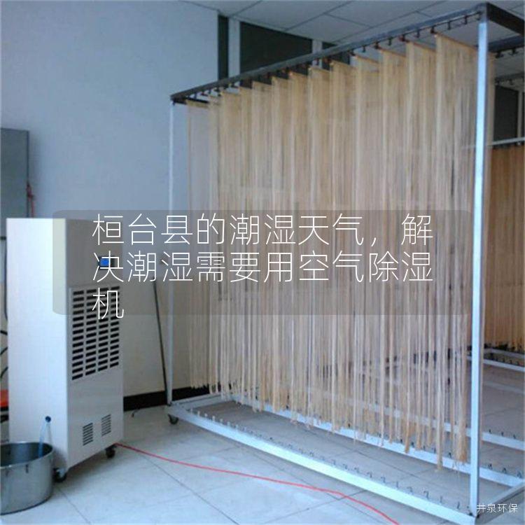 桓台县的潮湿天气，解决潮湿需要用空气除湿机