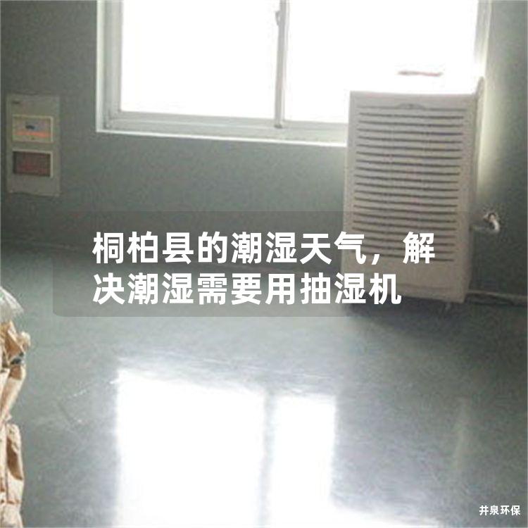 桐柏县的潮湿天气，解决潮湿需要用抽湿机