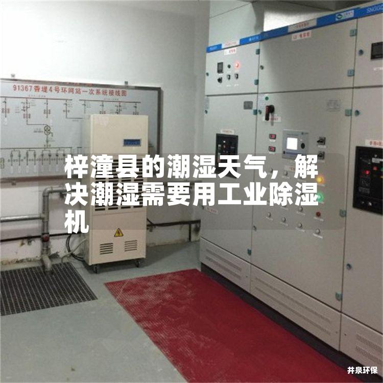 梓潼县的潮湿天气，解决潮湿需要用工业除湿机