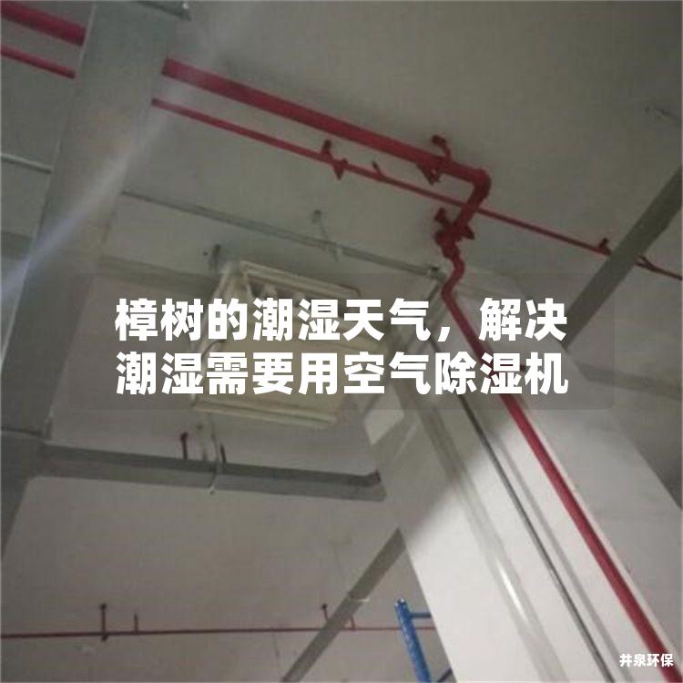 樟树的潮湿天气，解决潮湿需要用空气除湿机