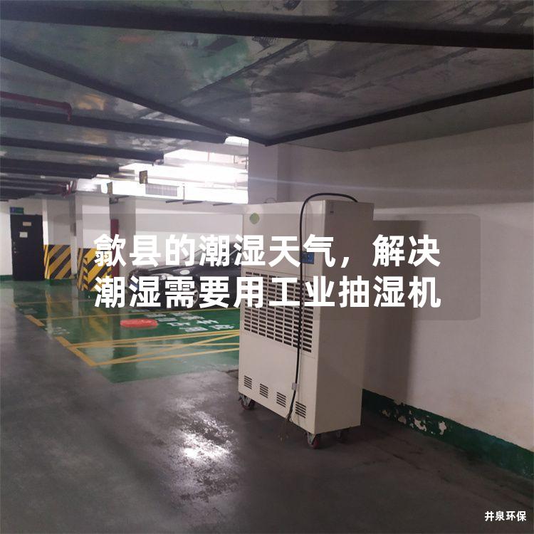 歙县的潮湿天气，解决潮湿需要用工业抽湿机