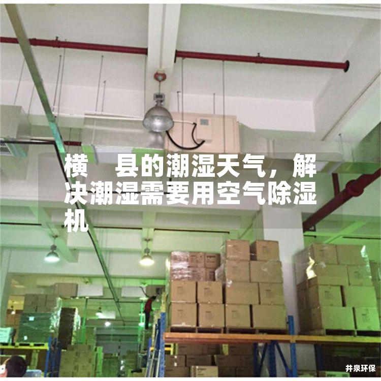 横　县的潮湿天气，解决潮湿需要用空气除湿机