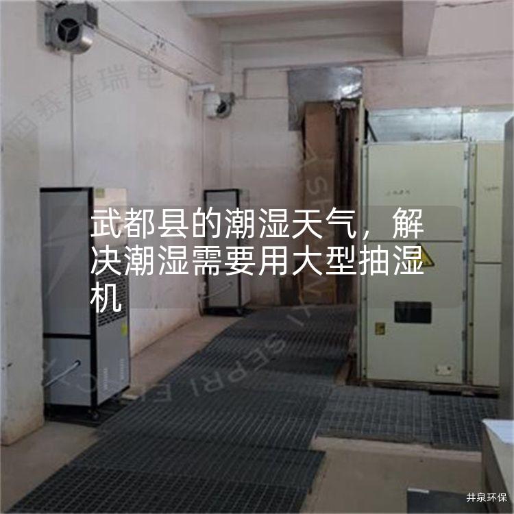 武都县的潮湿天气，解决潮湿需要用大型抽湿机