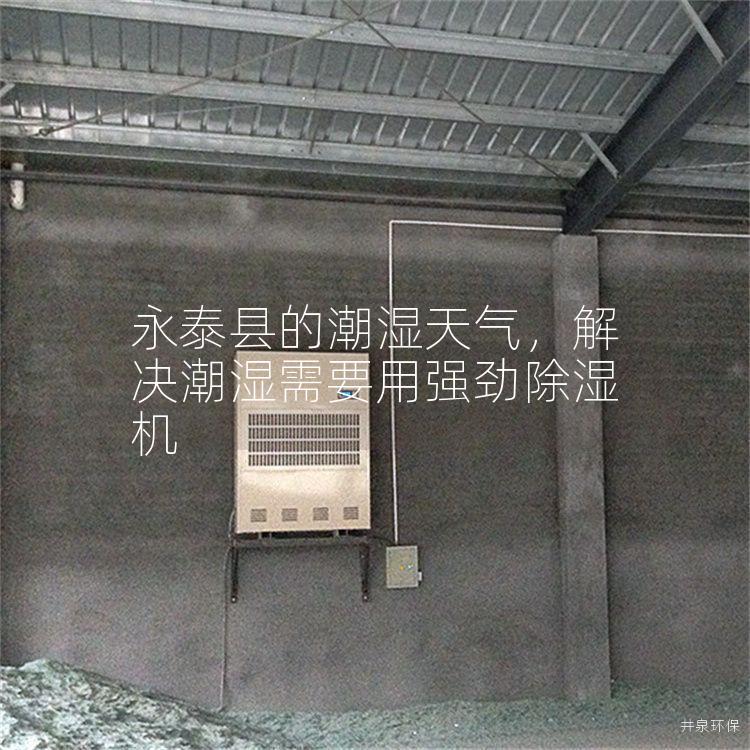 永泰县的潮湿天气，解决潮湿需要用强劲除湿机