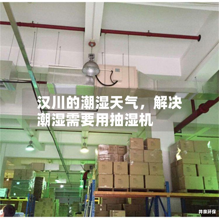 汉川的潮湿天气，解决潮湿需要用抽湿机