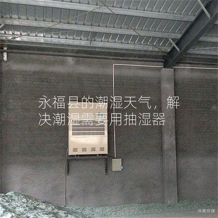 永福县的潮湿天气，解决潮湿需要用抽湿器