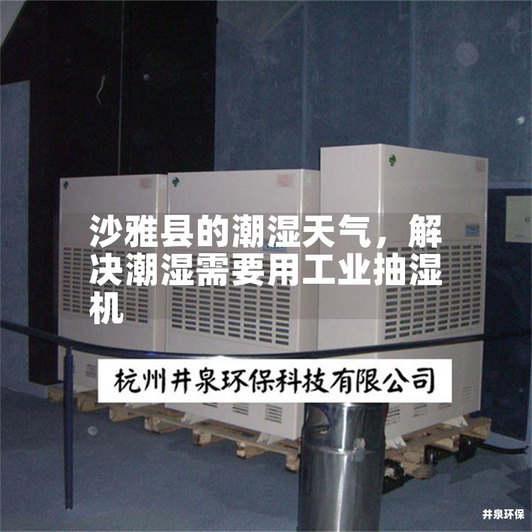沙雅县的潮湿天气，解决潮湿需要用工业抽湿机