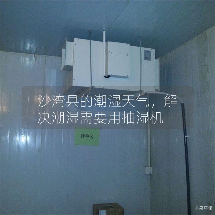 沙湾县的潮湿天气，解决潮湿需要用抽湿机