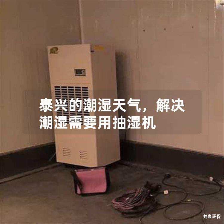泰兴的潮湿天气，解决潮湿需要用抽湿机