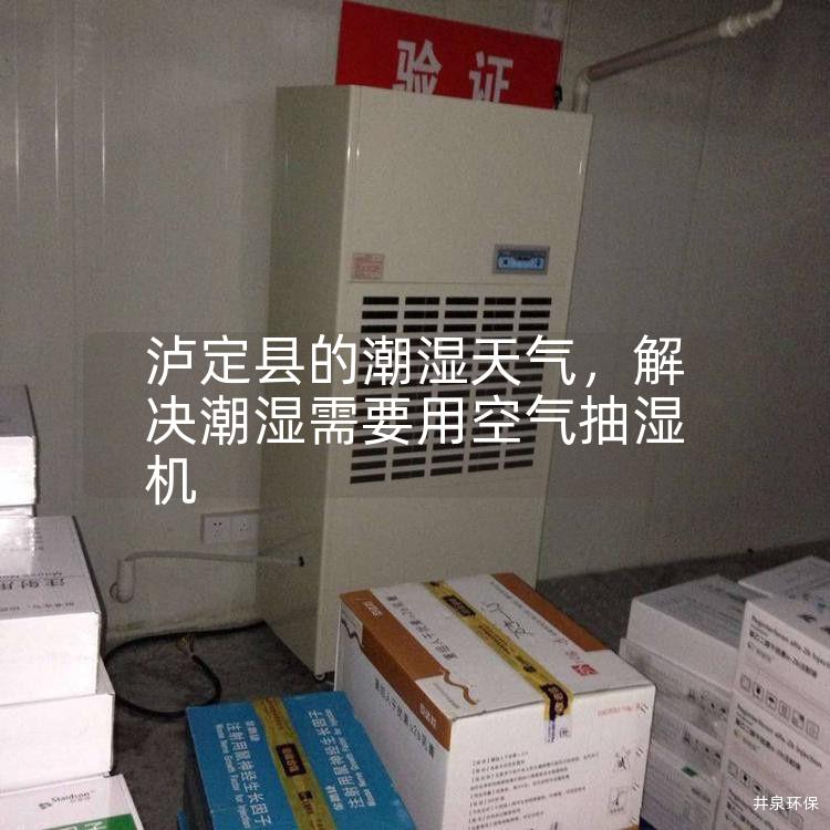 泸定县的潮湿天气，解决潮湿需要用空气抽湿机