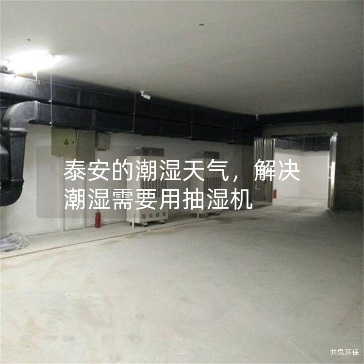 泰安的潮湿天气，解决潮湿需要用抽湿机