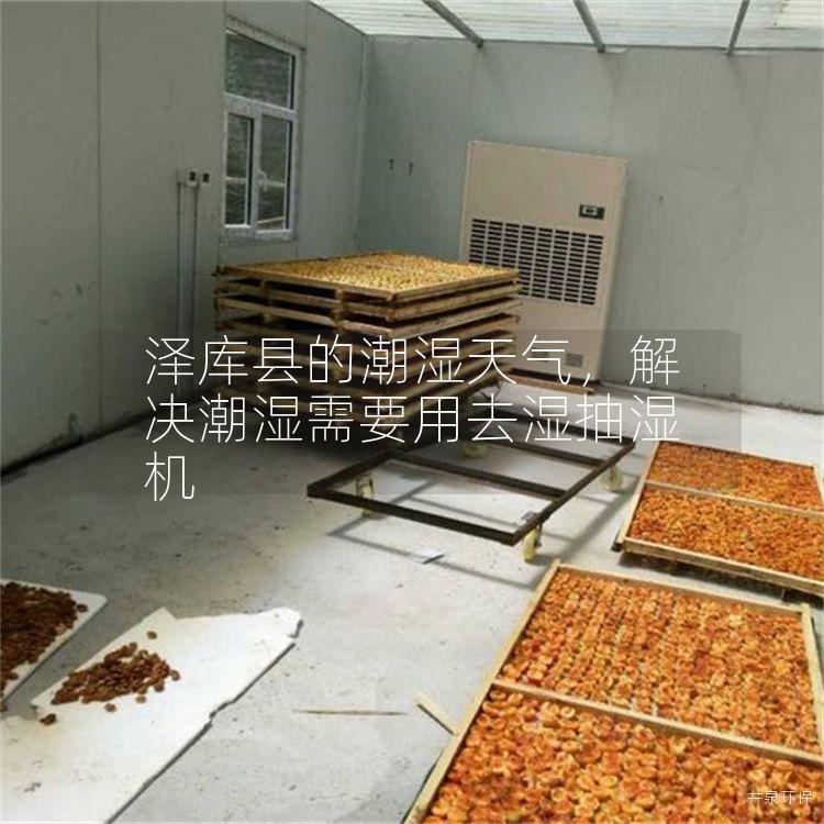 泽库县的潮湿天气，解决潮湿需要用去湿抽湿机