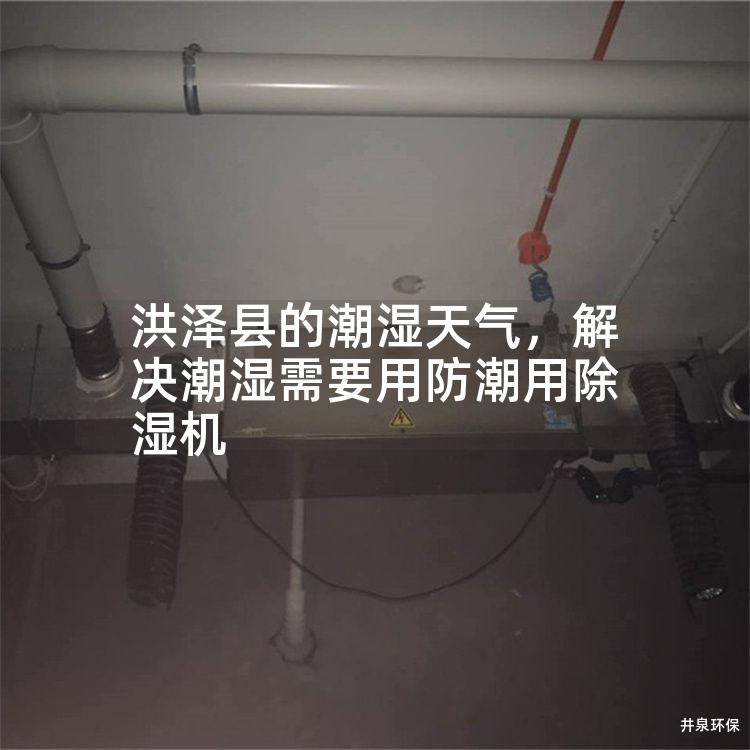 洪泽县的潮湿天气，解决潮湿需要用防潮用除湿机