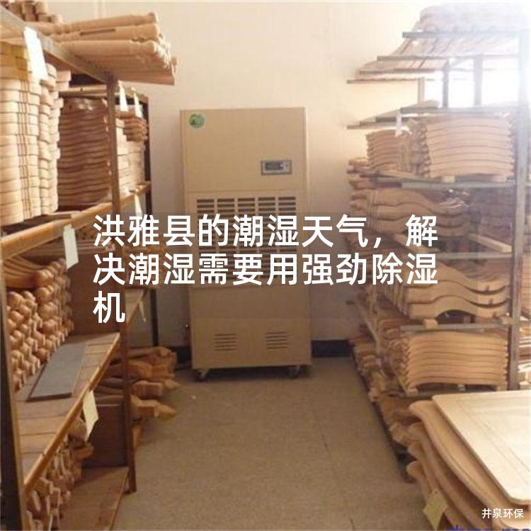 洪雅县的潮湿天气，解决潮湿需要用强劲除湿机
