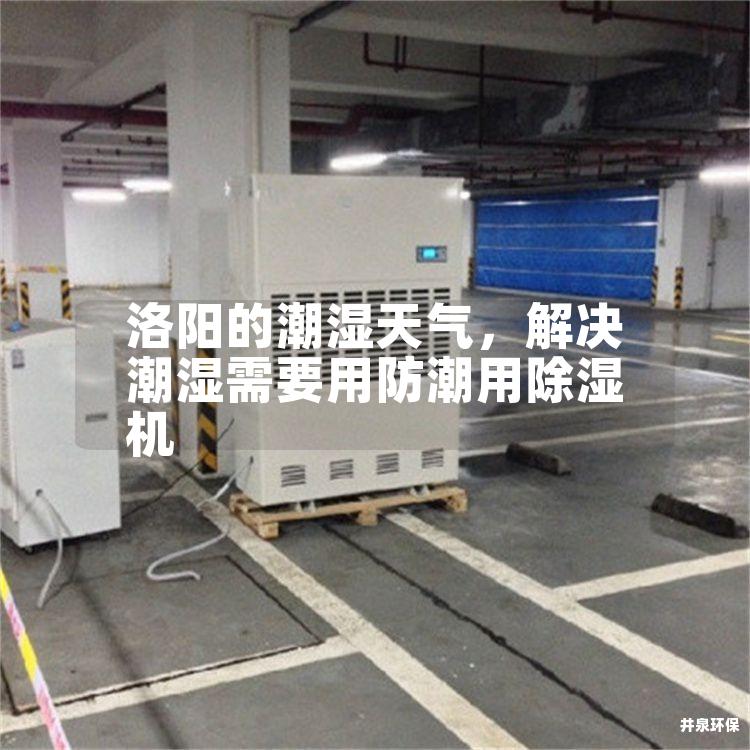 洛阳的潮湿天气，解决潮湿需要用防潮用除湿机