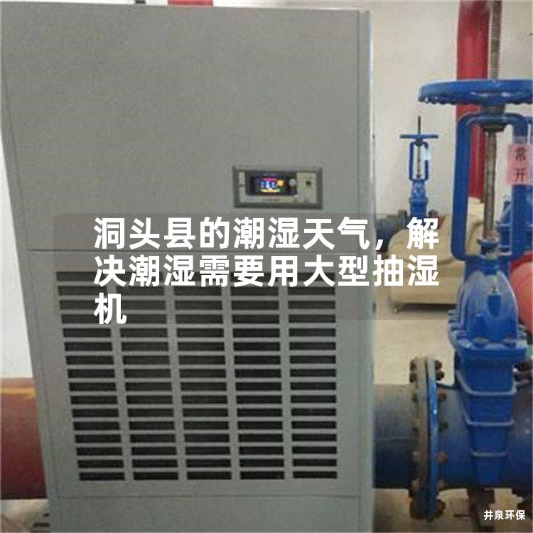 洞頭縣的潮濕天氣，解決潮濕需要用大型抽濕機(jī)
