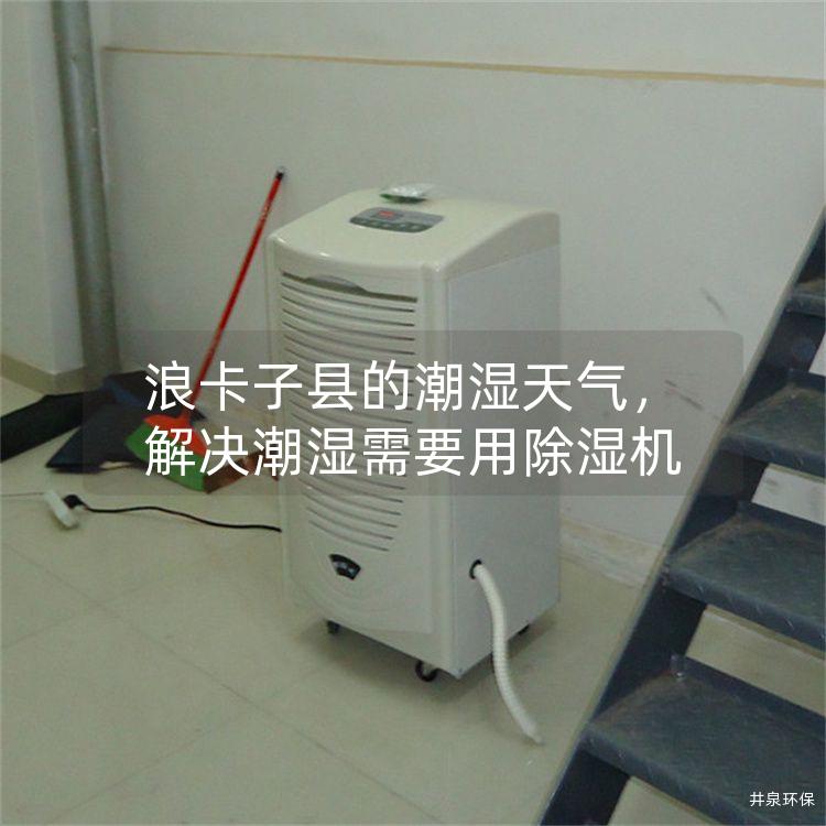 浪卡子縣的潮濕天氣，解決潮濕需要用除濕機(jī)