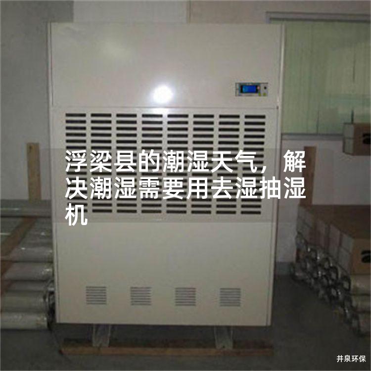 浮梁縣的潮濕天氣，解決潮濕需要用去濕抽濕機