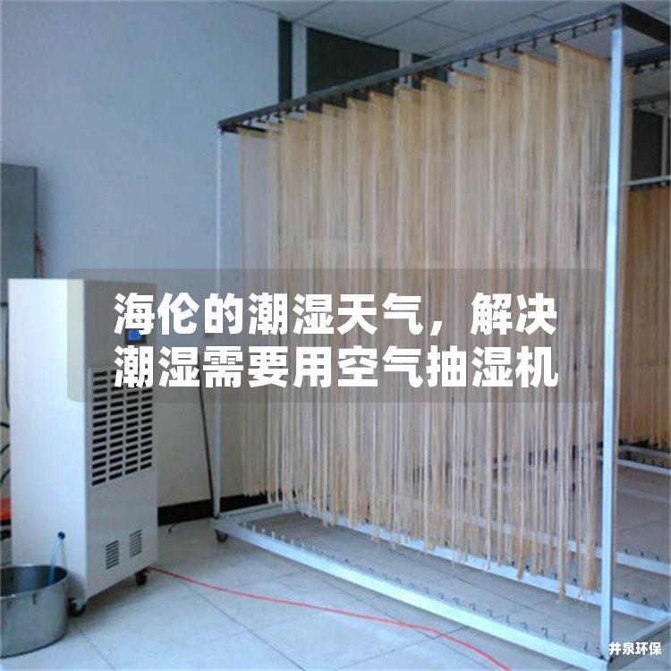 海倫的潮濕天氣，解決潮濕需要用空氣抽濕機
