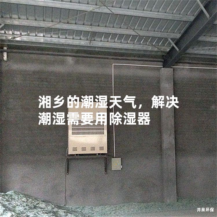 湘乡的潮湿天气，解决潮湿需要用除湿器