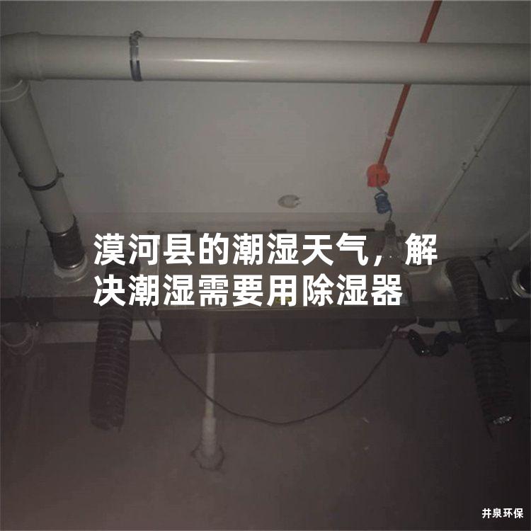 漠河县的潮湿天气，解决潮湿需要用除湿器