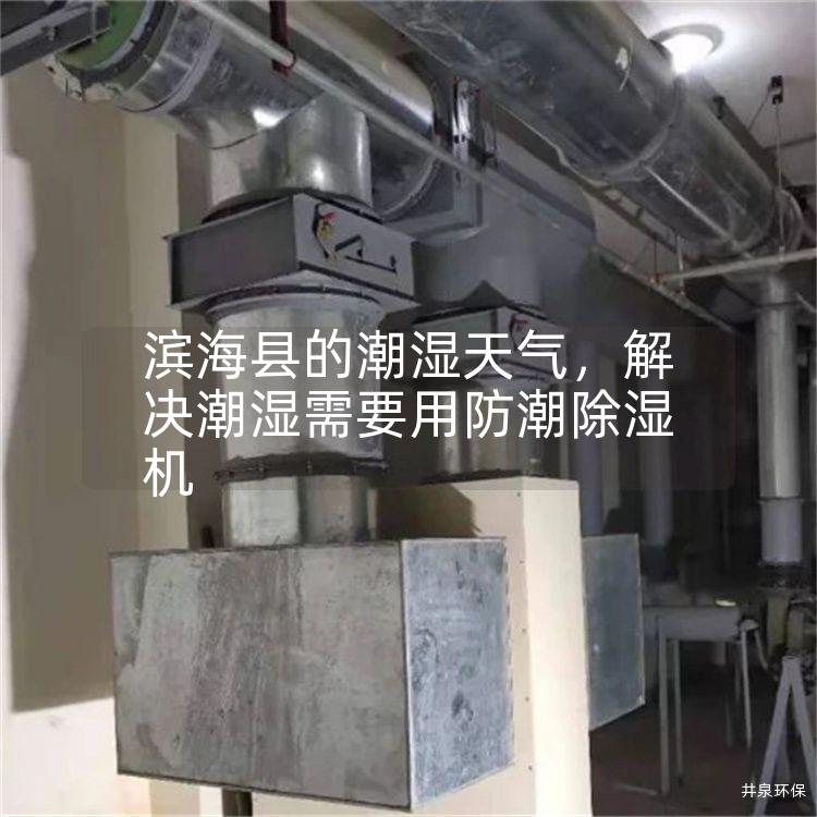 滨海县的潮湿天气，解决潮湿需要用防潮除湿机