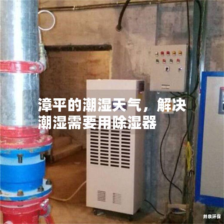 漳平的潮湿天气，解决潮湿需要用除湿器
