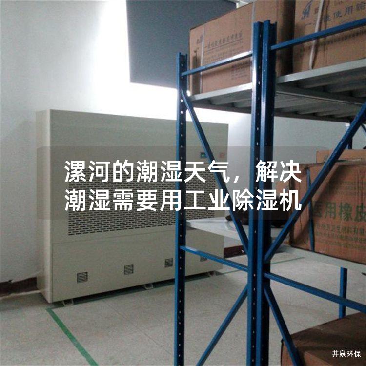 漯河的潮湿天气,解决潮湿需要用工业除湿机 漯河的潮湿天气,解决潮湿需要用工业除湿机