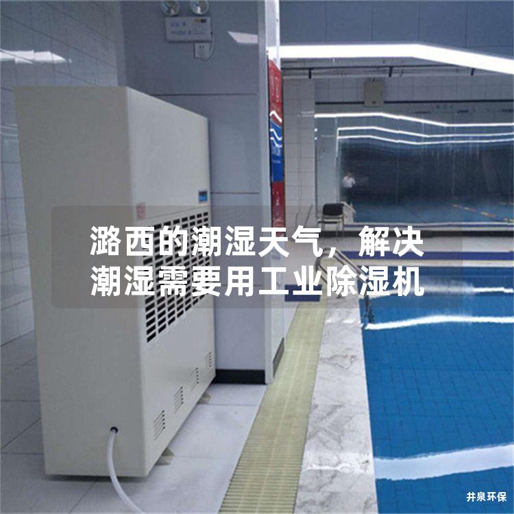 潞西的潮湿天气，解决潮湿需要用工业除湿机