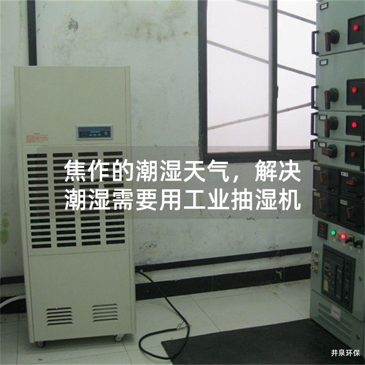 焦作的潮湿天气，解决潮湿需要用工业抽湿机