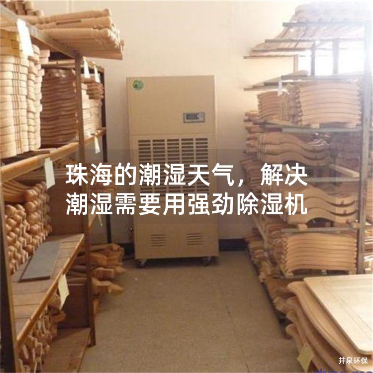 珠海的潮湿天气，解决潮湿需要用强劲除湿机