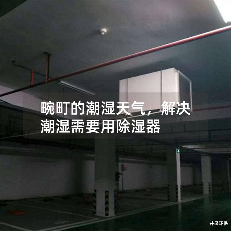 畹町的潮湿天气，解决潮湿需要用除湿器