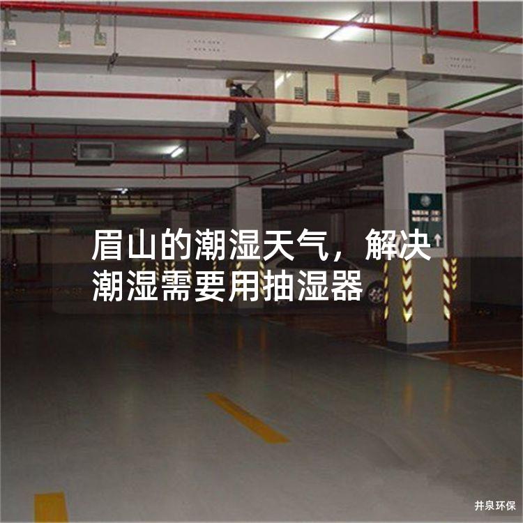 眉山的潮濕天氣，解決潮濕需要用抽濕器