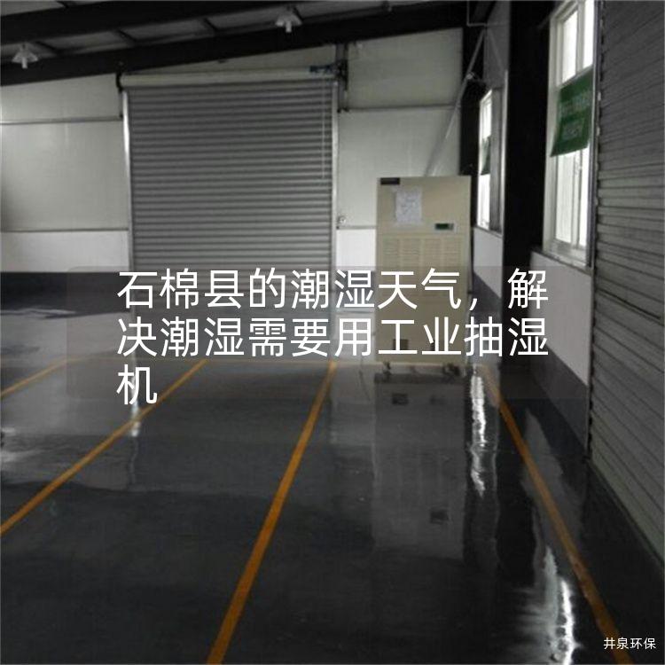石棉县的潮湿天气，解决潮湿需要用工业抽湿机