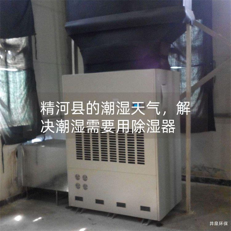 精河縣的潮濕天氣，解決潮濕需要用除濕器