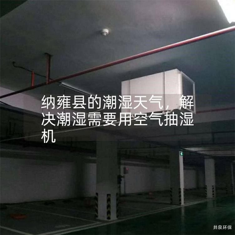 納雍縣的潮濕天氣，解決潮濕需要用空氣抽濕機(jī)
