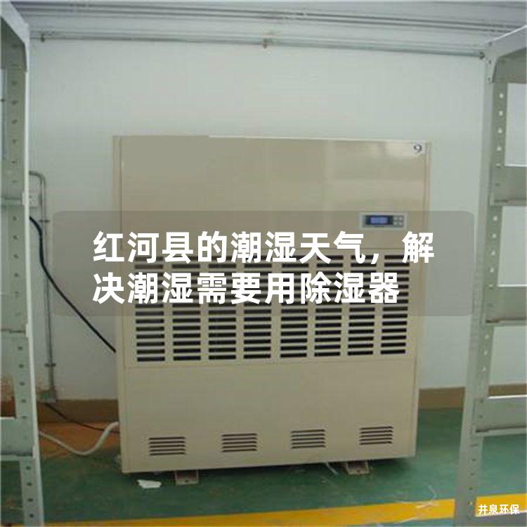 红河县的潮湿天气，解决潮湿需要用除湿器