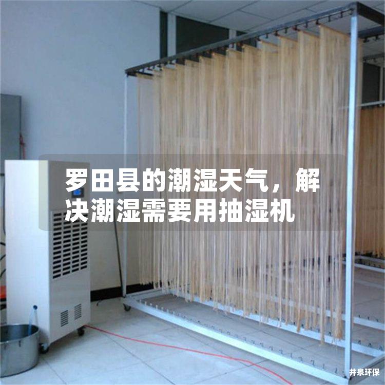 羅田縣的潮濕天氣，解決潮濕需要用抽濕機