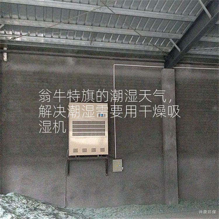 翁牛特旗的潮湿天气，解决潮湿需要用干燥吸湿机