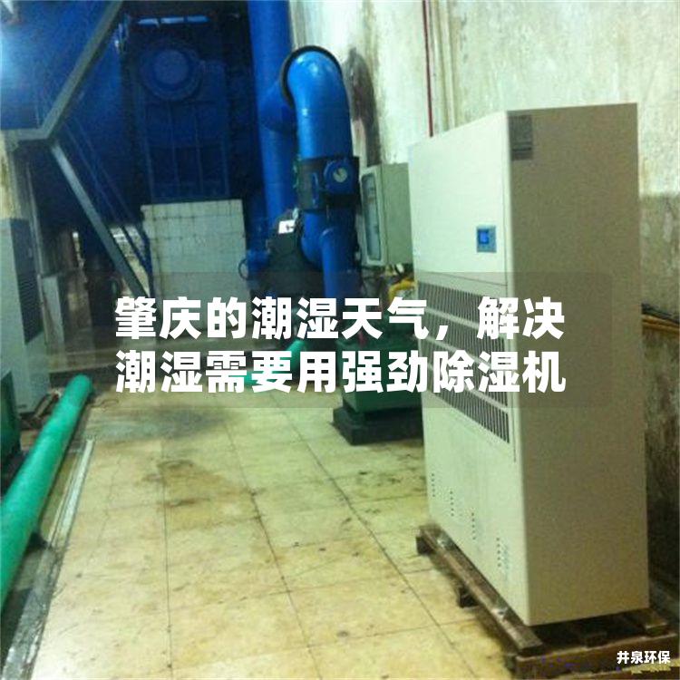 肇慶的潮濕天氣，解決潮濕需要用強(qiáng)勁除濕機(jī)