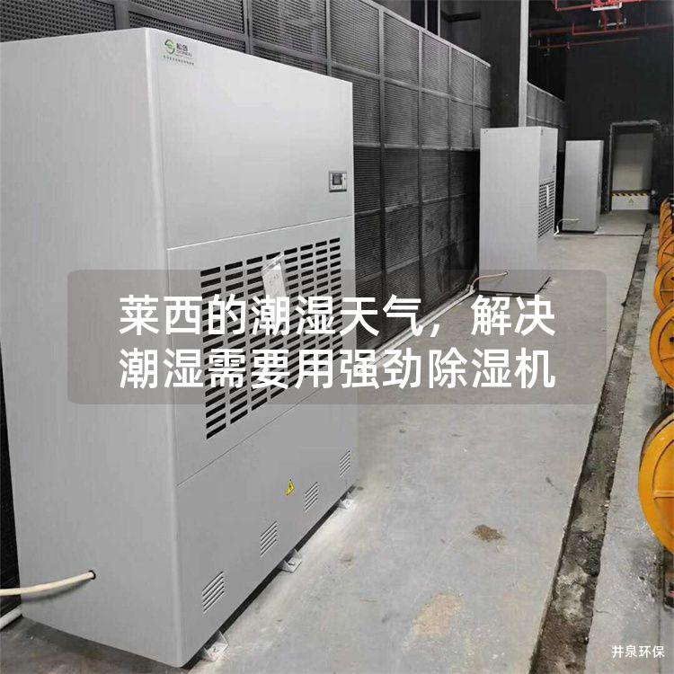 萊西的潮濕天氣，解決潮濕需要用強(qiáng)勁除濕機(jī)
